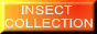 insect-collection